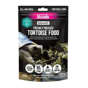 Optimised52 Freshly Pressed Tortoise Food