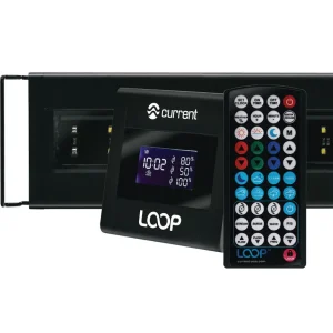Orbit Marine 24"- 36" IC LOOP LED (4105) - Current USA