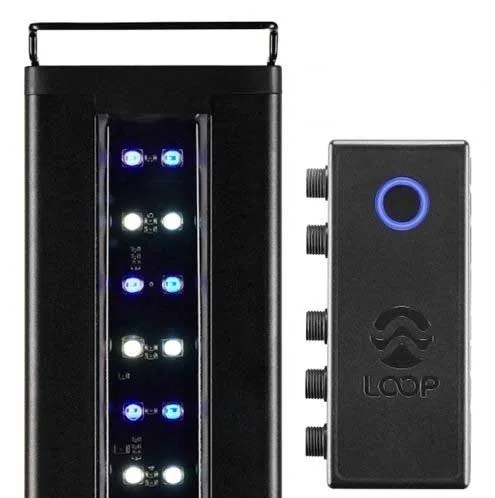 Orbit Marine 36"- 48" Bluetooth IC LOOP LED (4206) - Current USA