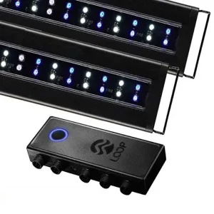 Orbit Marine 36"- 48" Bluetooth IC LOOP PRO Dual LED System (4336) - Current USA