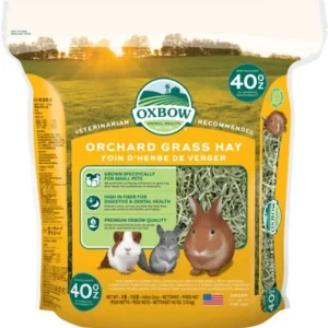 Orchard Grass Hay