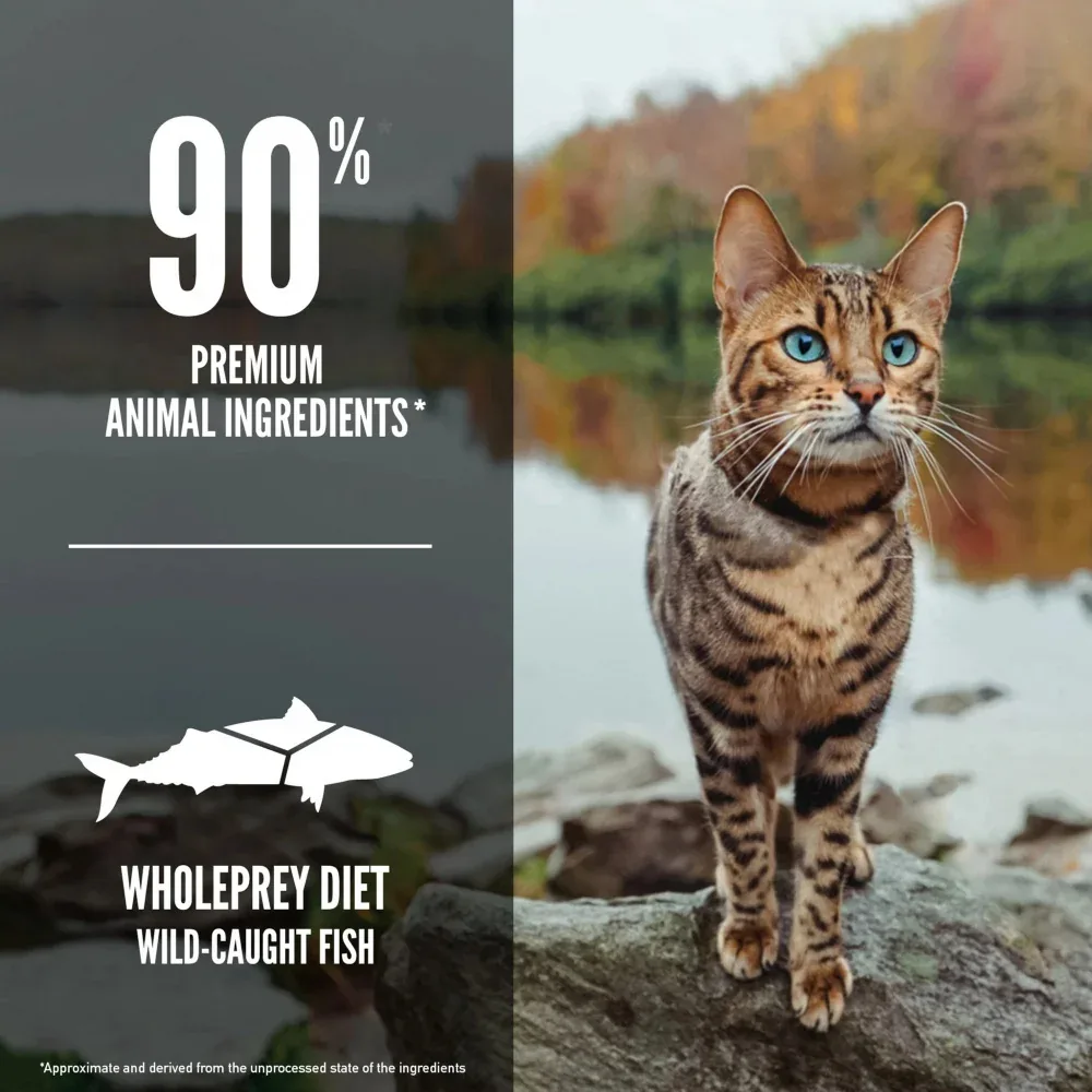 ORIJEN Grain Free Six Fish Dry Cat Food - Image 2
