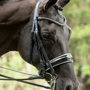 Otto Schumacher Patent Venedig Double Bridle