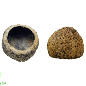 Ourico Pod for Terrariums & Vivariums