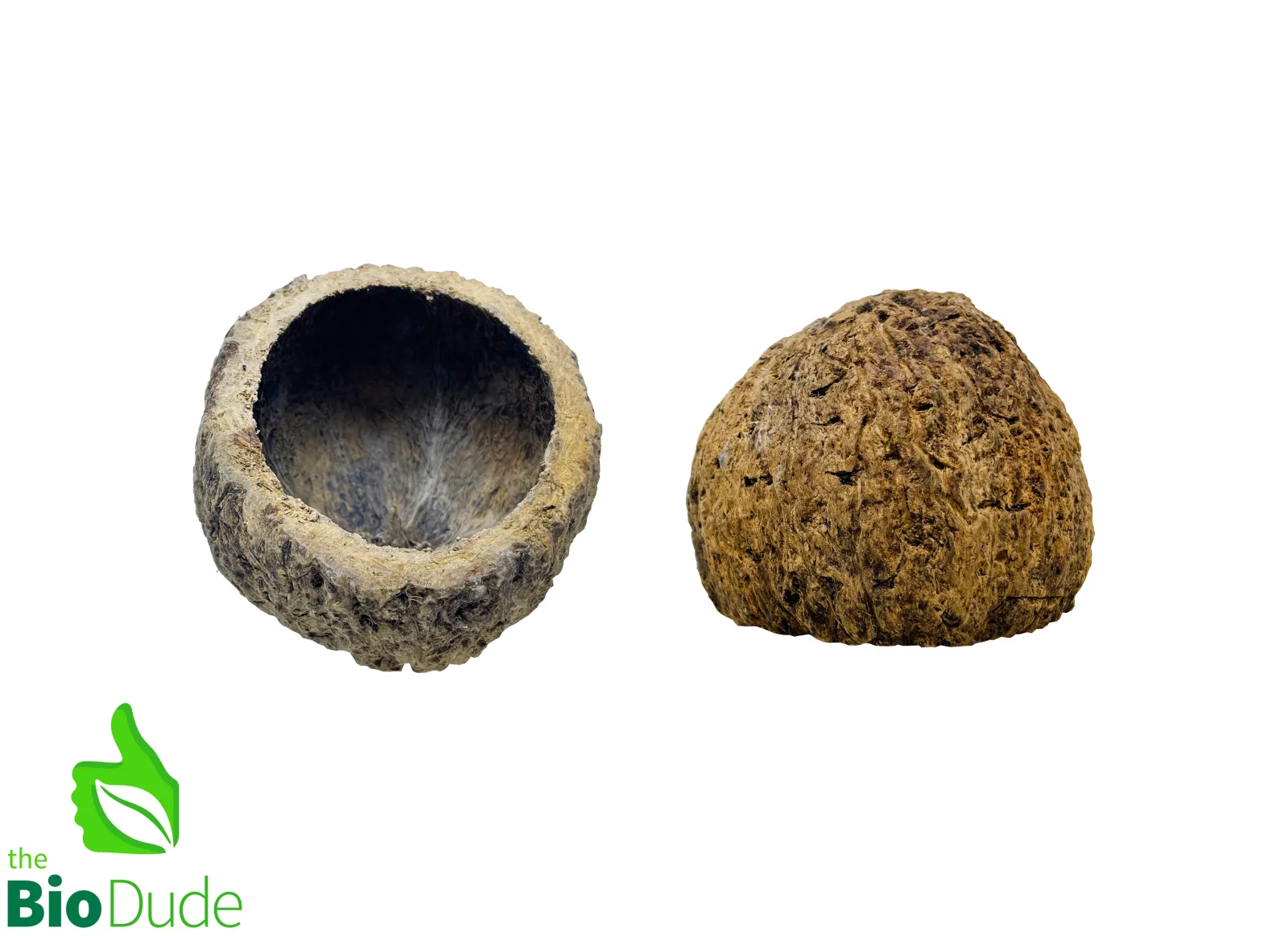Ourico Pod for Terrariums & Vivariums