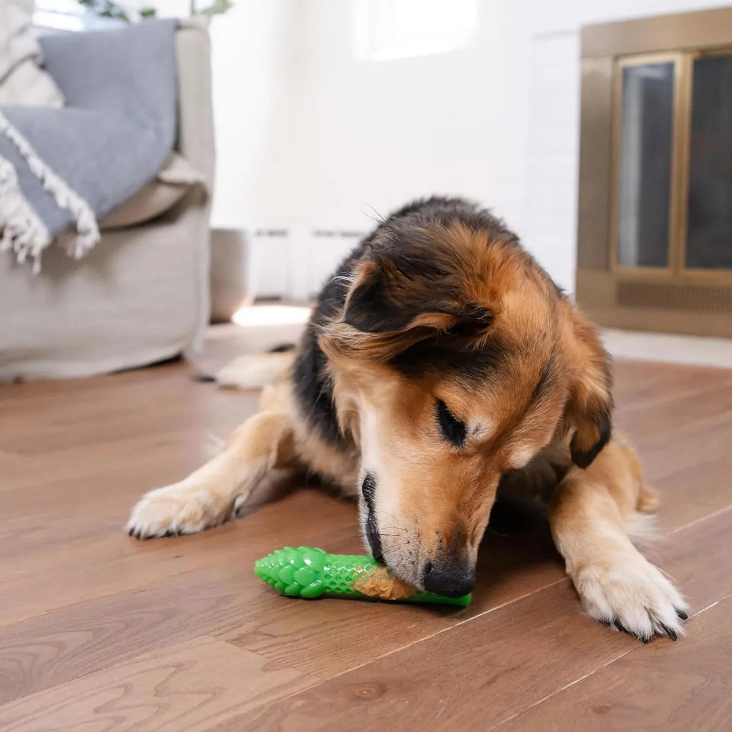 Outward Hound Asparagus - Image 2