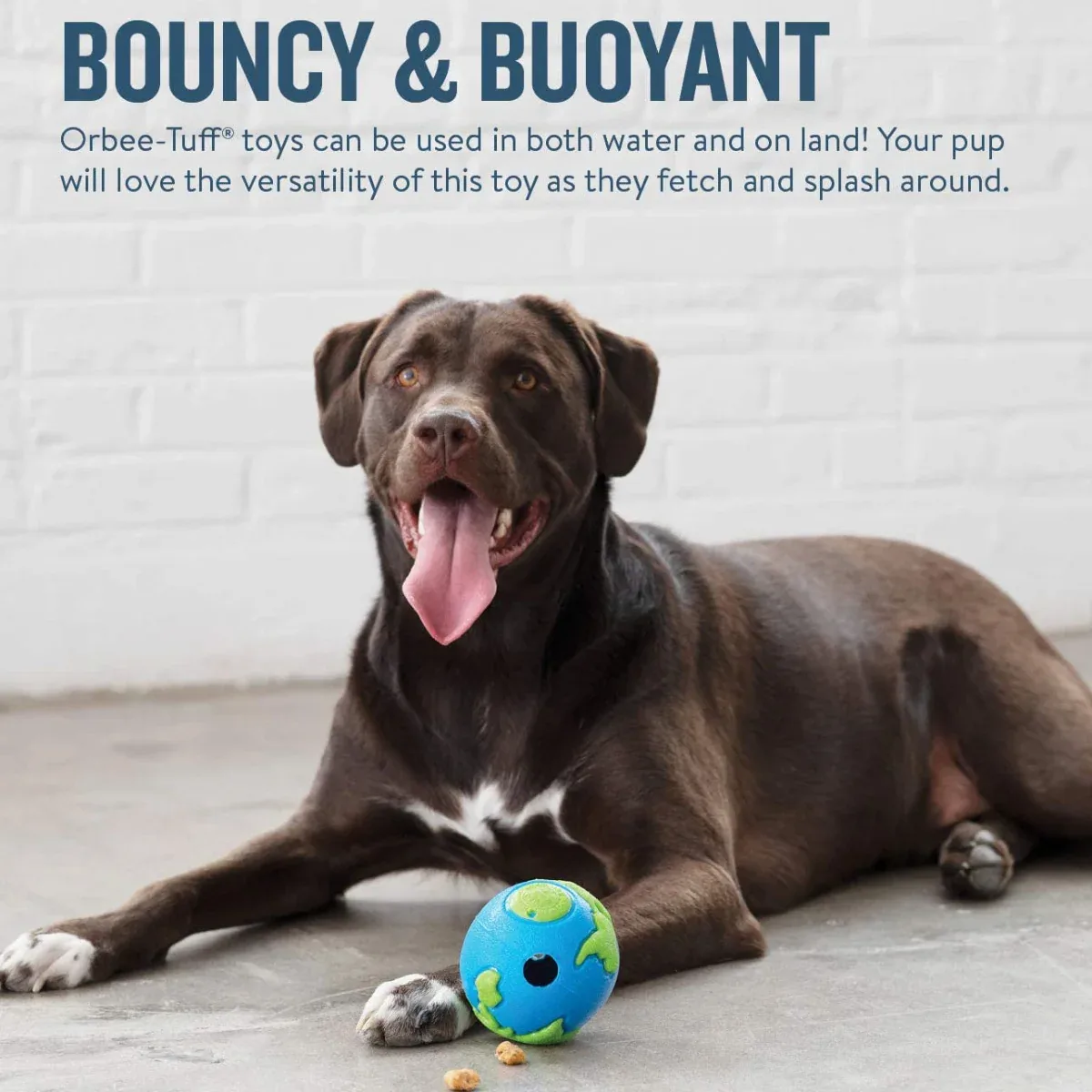 Outward Hound Orbee Ball - Image 2