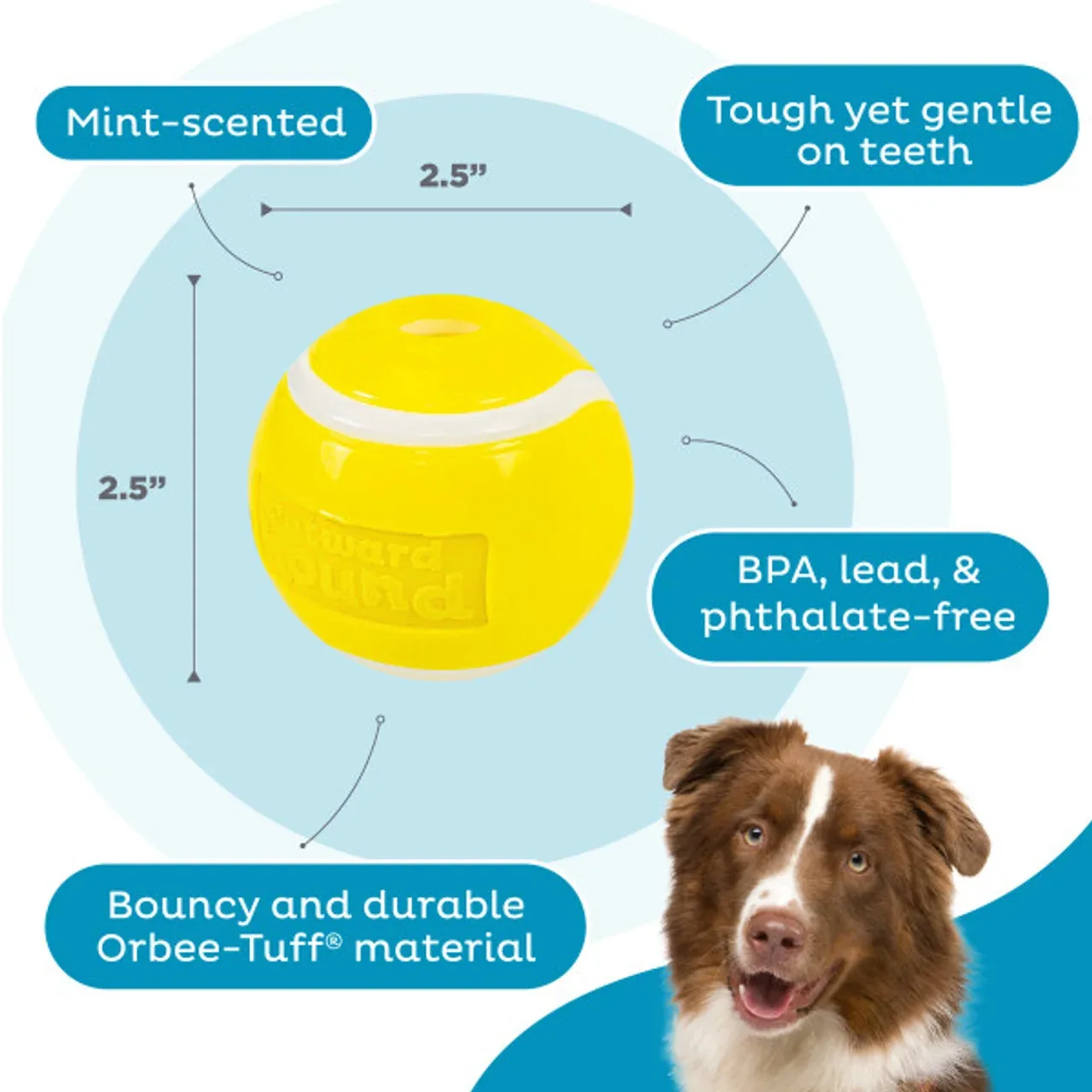 Outward Hound Orbee-Tuff Tennis Ball - Image 2