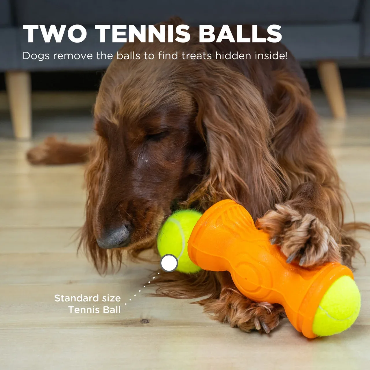Outward Hound Tennis & Treat Toy - Image 2