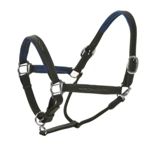 Ovation Richtan Luxury Padded Halter Horse Black/B