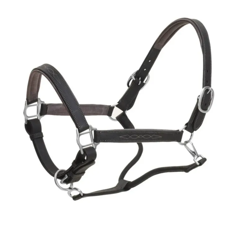 Ovation Richtan Luxury Padded Halter Horse Black/B - Image 2