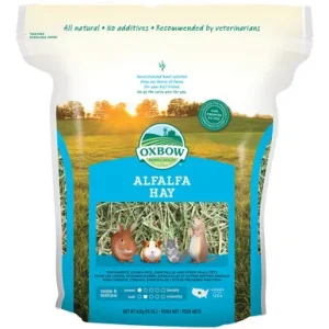 Oxbow Alfalfa Hay for Small Animals