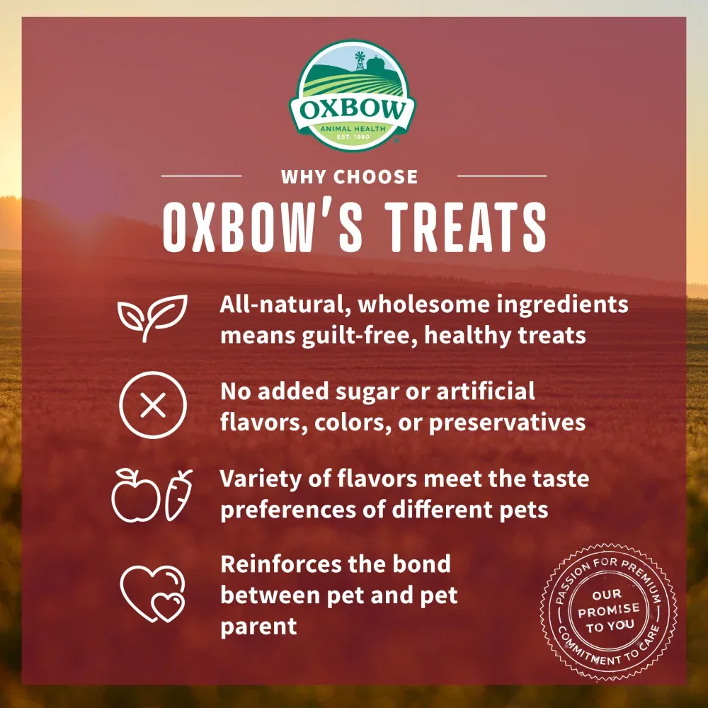 Oxbow Animal Health Simple Rewards Strawberry Treats - Image 2