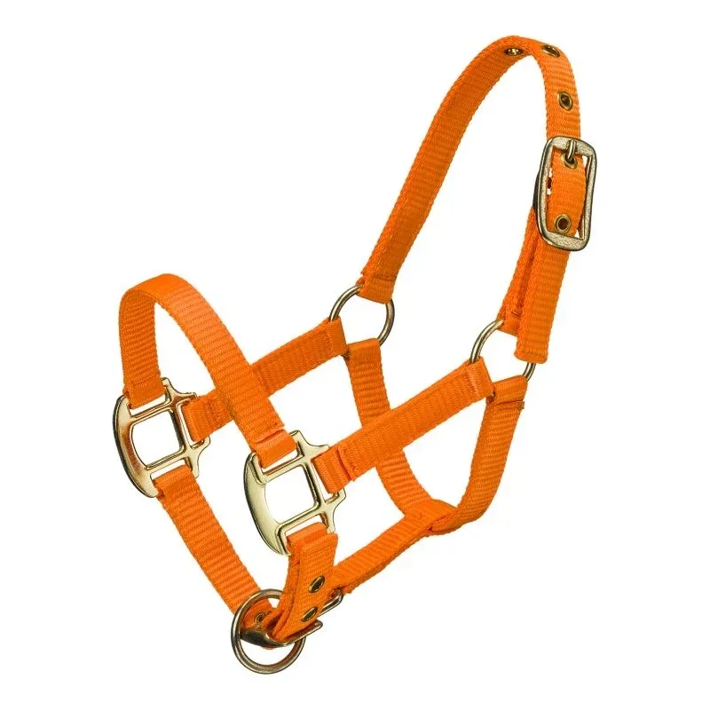 Ozark Mini Nylon Halter - Image 2