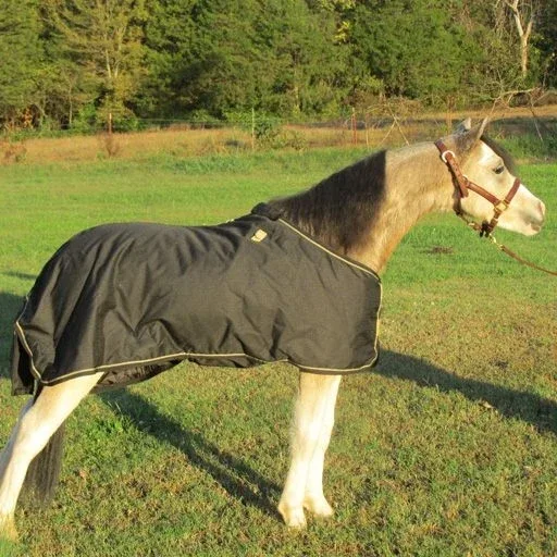 Ozark Mini/Pony Light Waterproof Blanket - Image 2