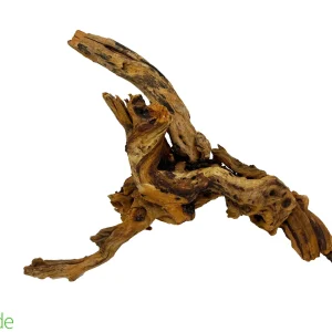Pacific Driftwood