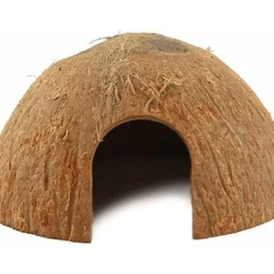 Pangea CocoHut