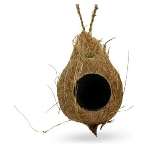 Pangea Hanging Coconut