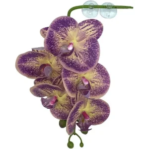 Pangea Hanging Orchid Purple & Yellow