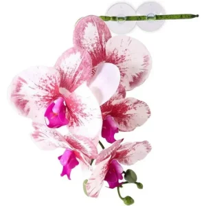 Pangea Hanging Orchid White