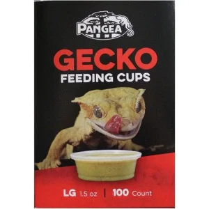Pangea Large Gecko Feeding Cups - 100ct