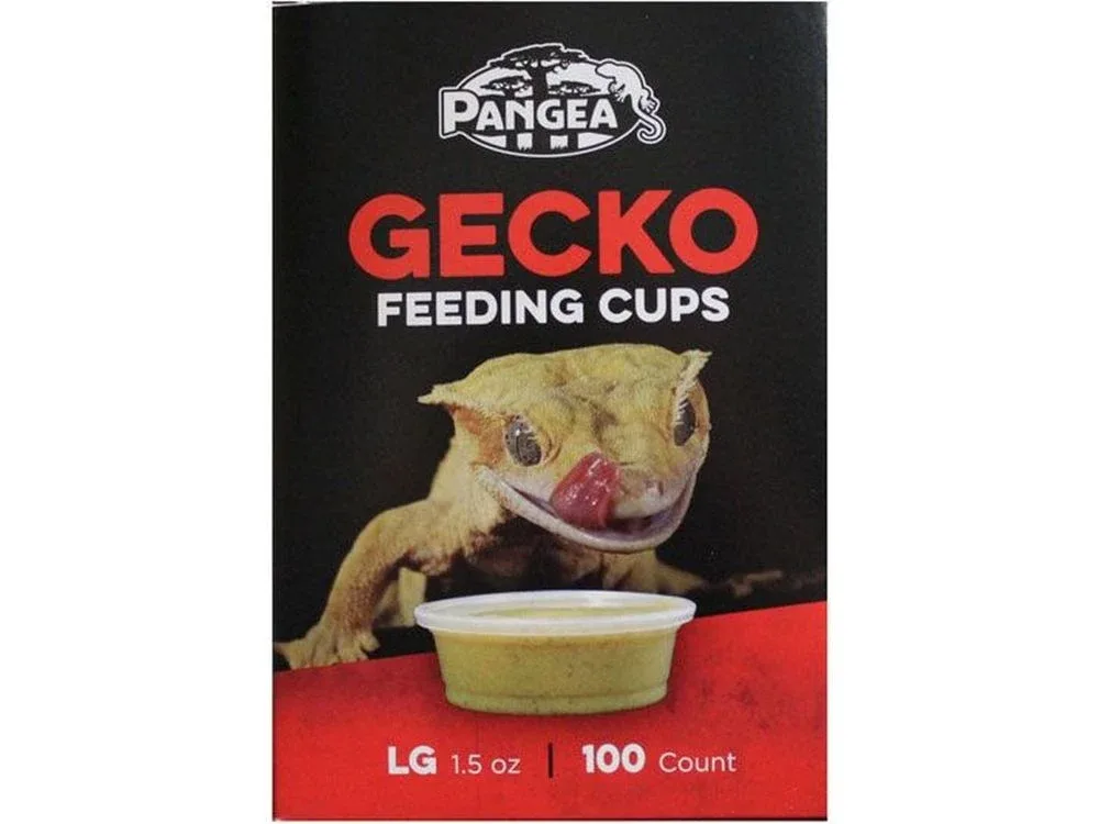 Pangea Large Gecko Feeding Cups - 100ct