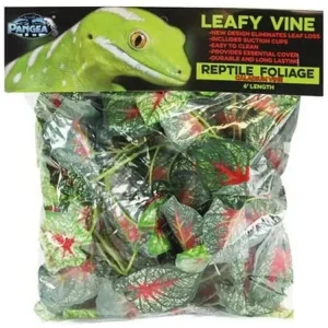 Pangea Leafy Vine Caladium (6ft)