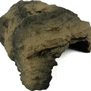 Pangea Medium Rock Cave