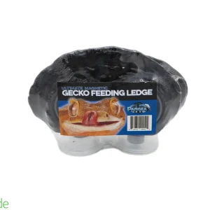 Pangea Ultimate Magnetic Gecko Feeding Ledge - triple magnet