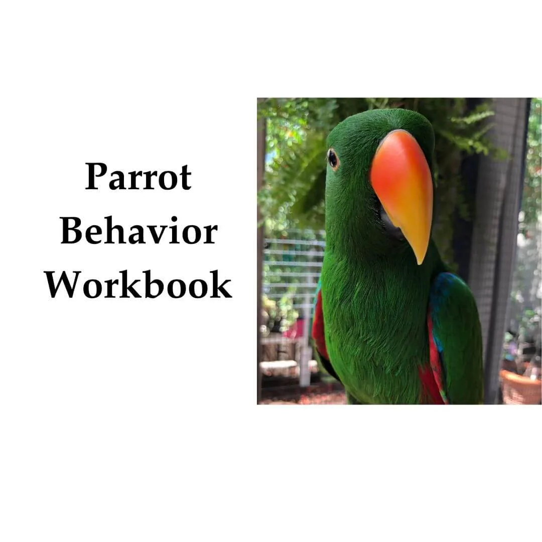 Parrot Behavior Workbook (Printable PDF)
