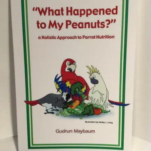 Parrot Holistic Nutrition Guide: What Happened to My Peanuts?
