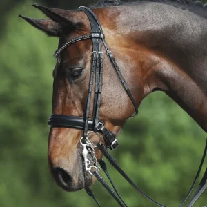 Passier® Fortuna Double Bridle