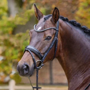 Passier® Shadow Bridle