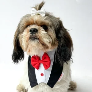 Pawgypets Formal Tux Bandana for Dogs and Cats (Black)