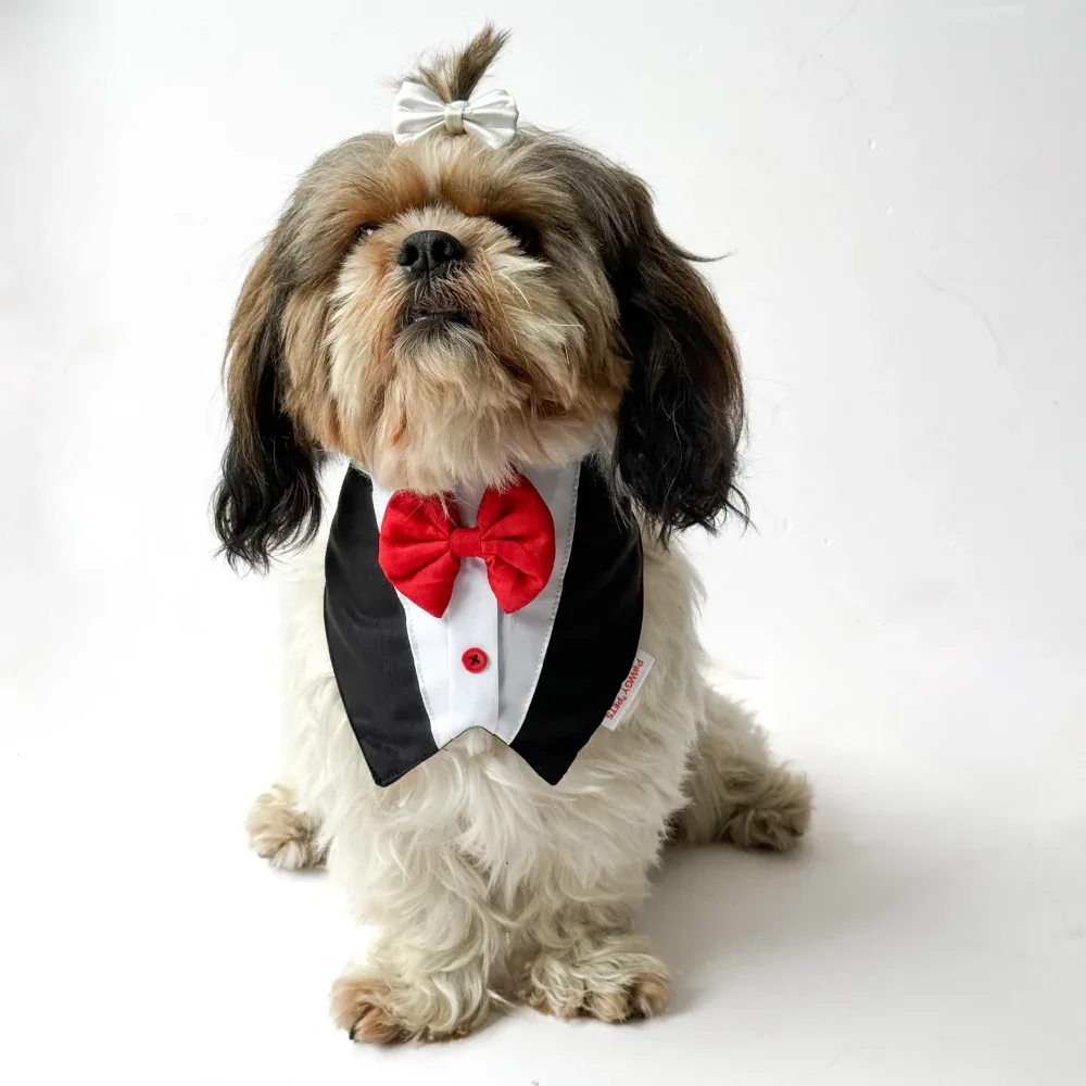 Pawgypets Formal Tux Bandana for Dogs and Cats (Black) - Image 2