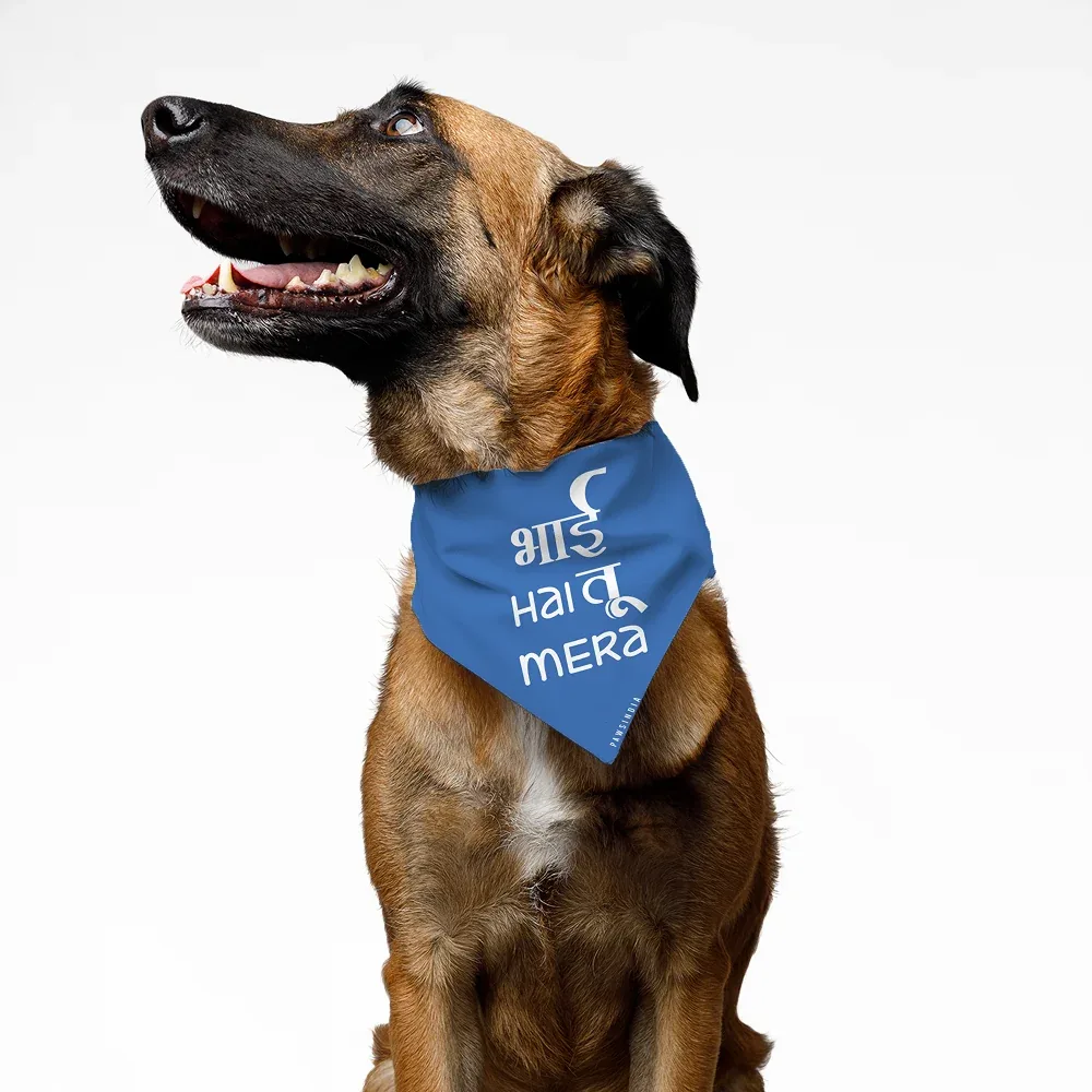 Pawsindia Bhai Hai Tu Mera Pet Bandana for Dogs and Cats