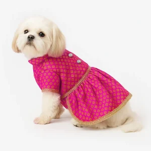 Pawsindia Traditional Royal Brocade Dress for Dogs (Pink)