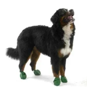 Pawz Dog Boots 12 pk. Extra Large {L+1x} 975106