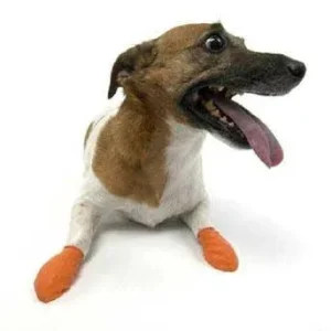 Pawz Dog Boots - 12 pk. Extra Small {L+1x} 975102