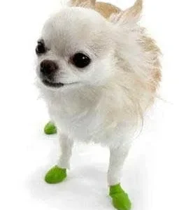 Pawz Dog Boots - 12 pk. Tiny {L+1x} 975100