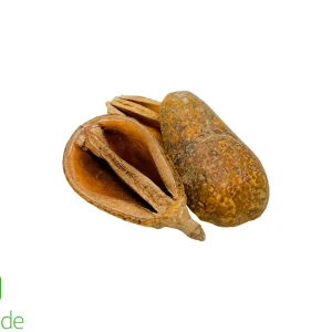 Pear Pod 3 pack