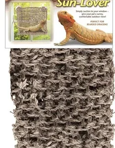 Penn-Plax Lizard Lounger Window 14X11