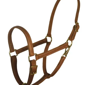 Perri’s® 7/8" Value Work Halter