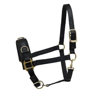 Perris Black Nylon Lunge Caveson