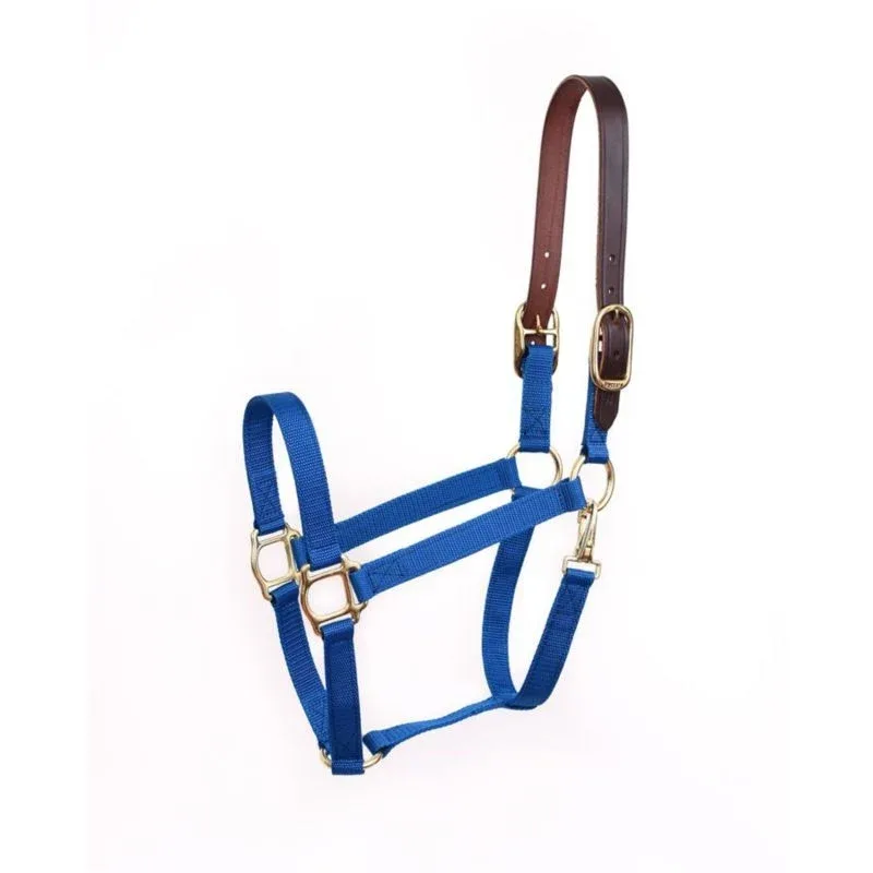 Perris Economy Safety Halter - Image 2