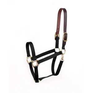 Perris Economy Safety Halter