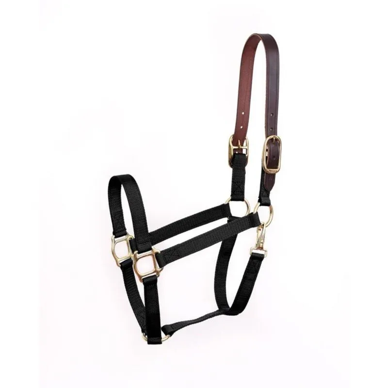 Perris Economy Safety Halter
