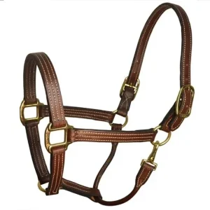 Perris Leather Havana Stable Halter