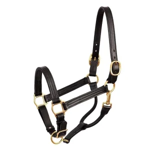 Perris Leather Show Halter