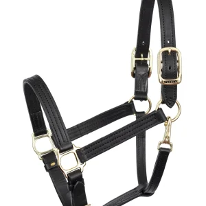 Perris Leather Turnout Halter